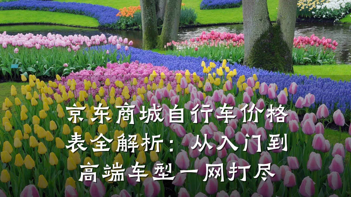 京东商城自行车价格表全解析：从入门到高端车型一网打尽