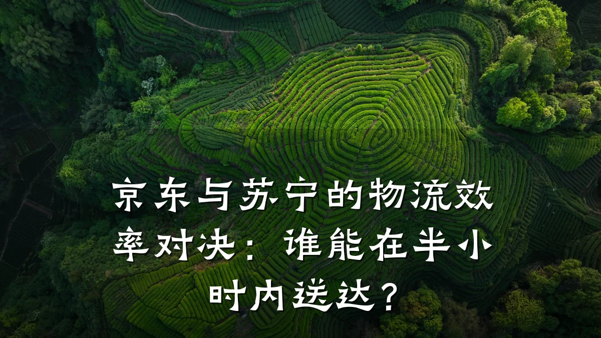 京东与苏宁的物流效率对决：谁能在半小时内送达？