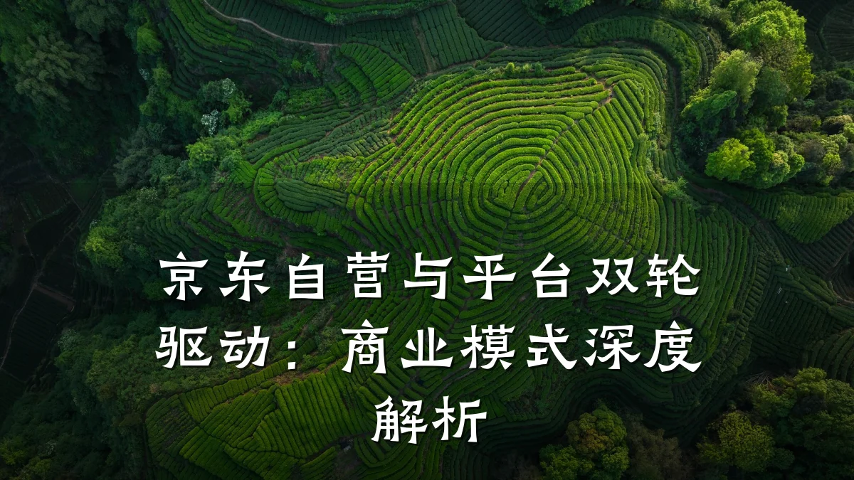 京东自营与平台双轮驱动：商业模式深度解析
