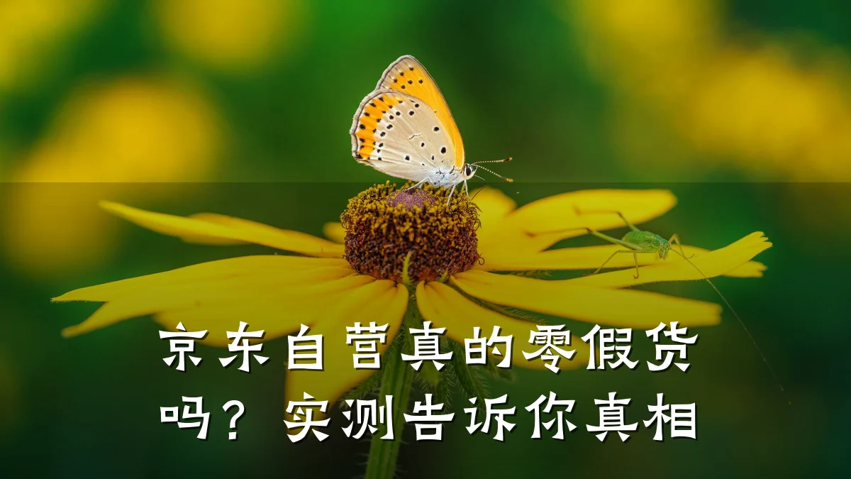 京东自营真的零假货吗?实测告诉你真相