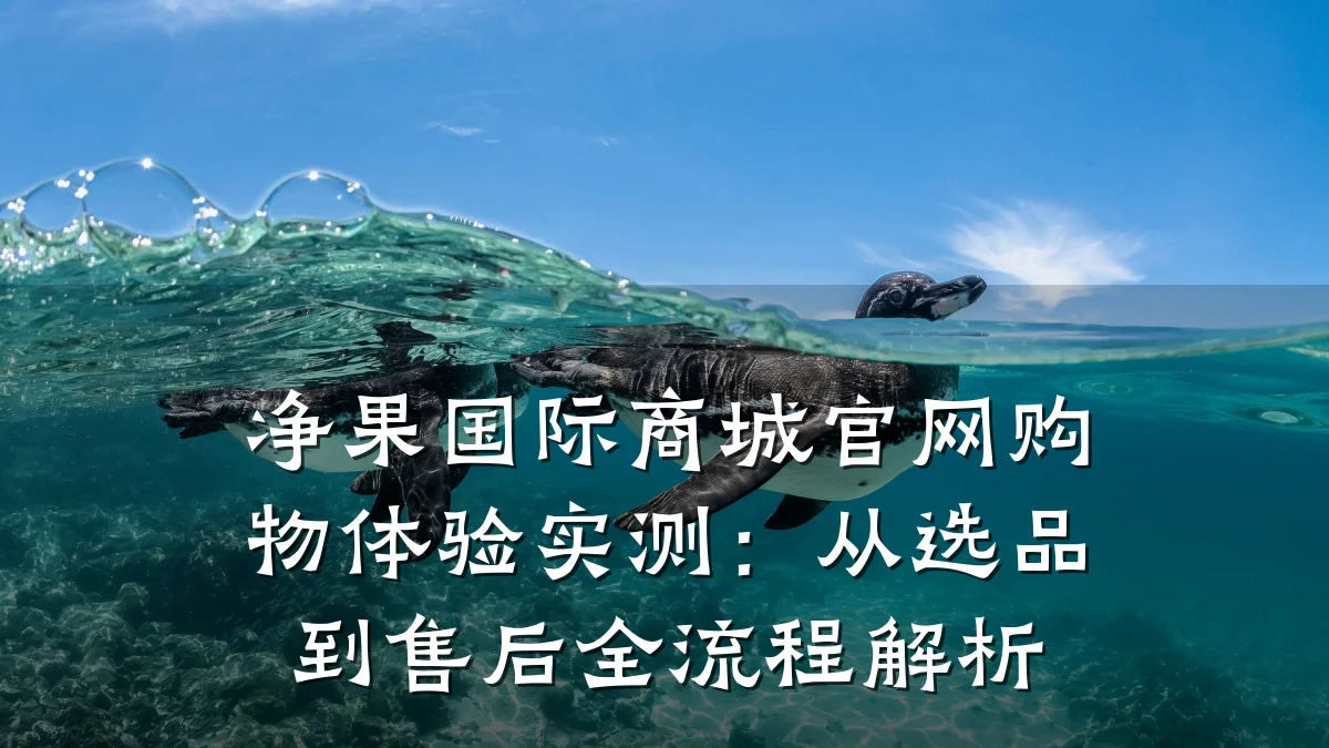 净果国际商城官网购物体验实测：从选品到售后全流程解析