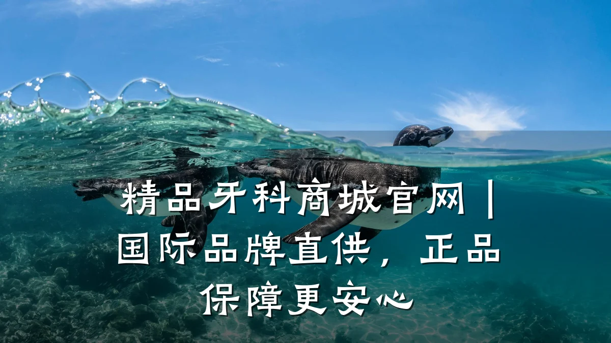 精品牙科商城官网｜国际品牌直供，正品保障更安心