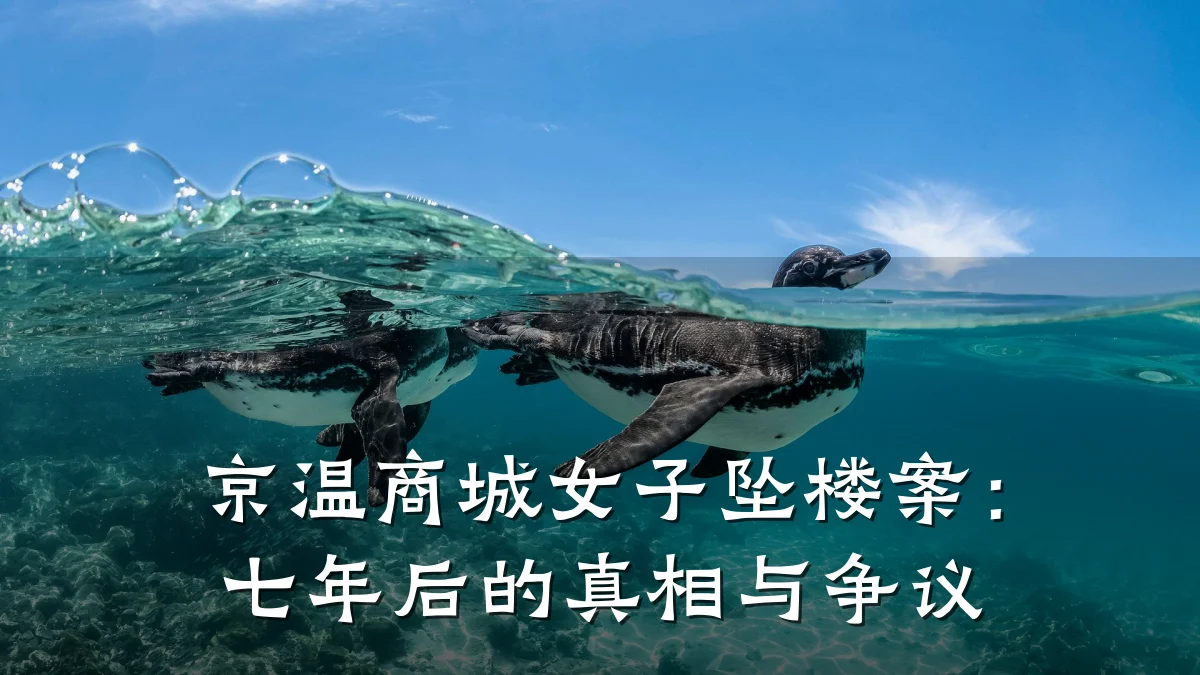 京温商城女子坠楼案：七年后的真相与争议
