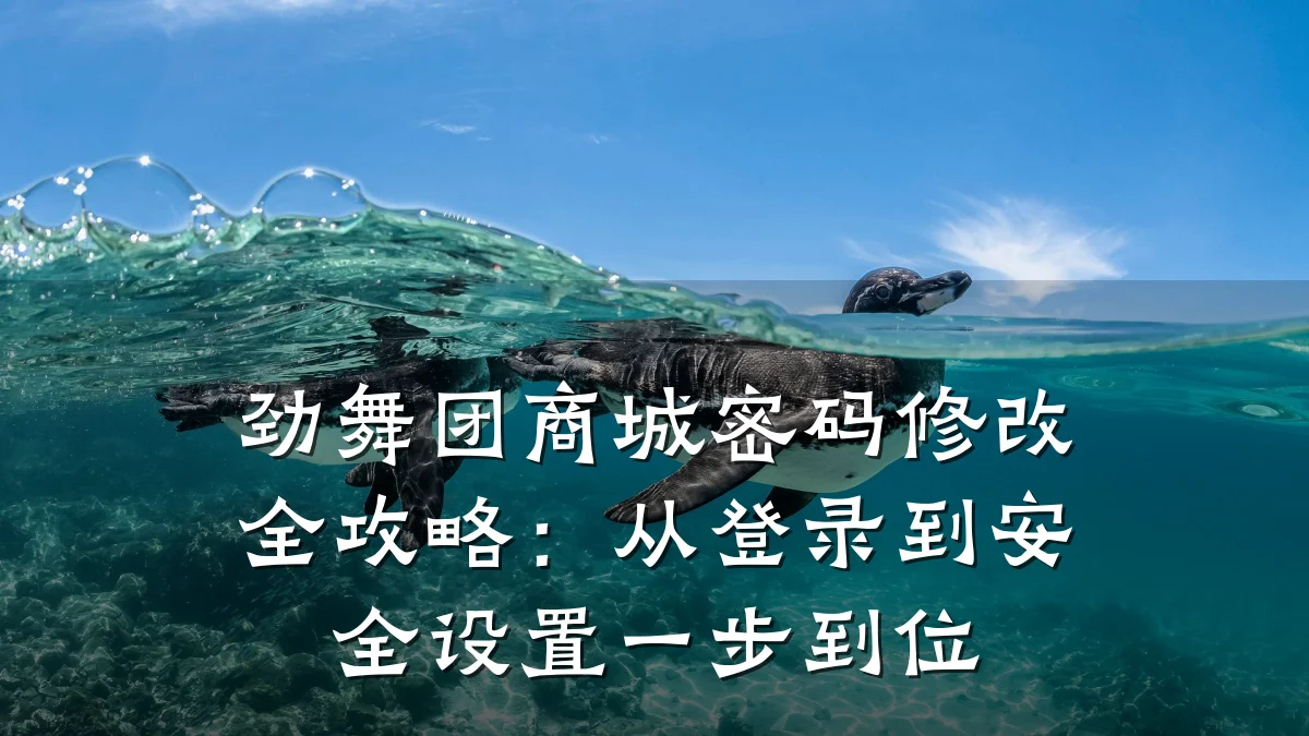 劲舞团商城密码修改全攻略:从登录到安全设置一步到位