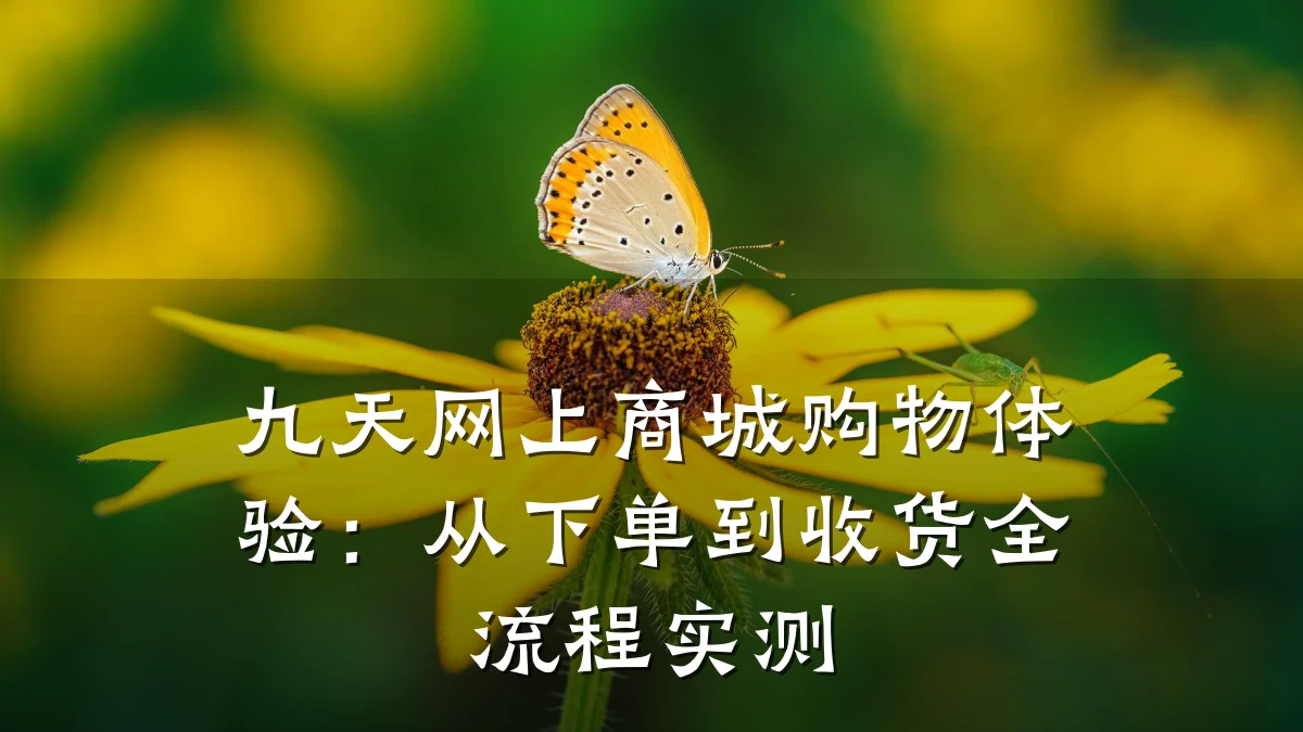 九天网上商城购物体验：从下单到收货全流程实测