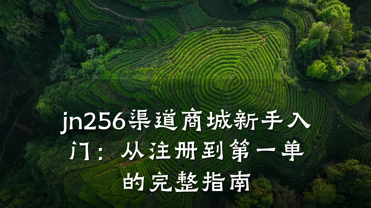 jn256渠道商城新手入门：从注册到第一单的完整指南