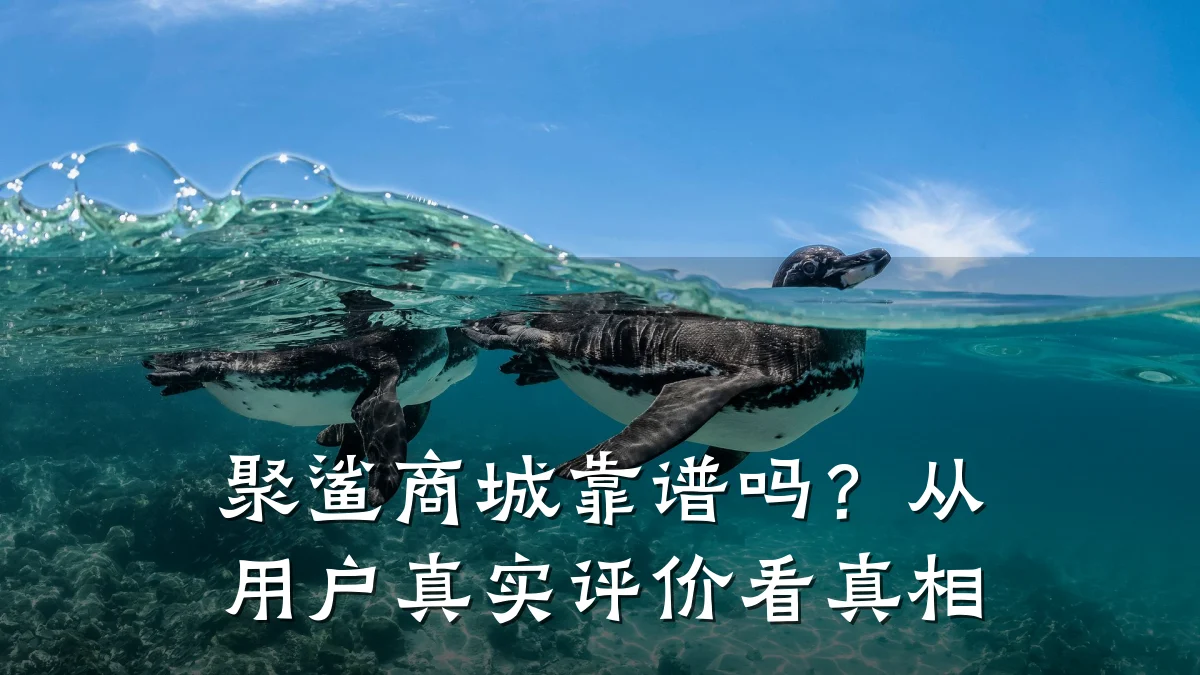 聚鲨商城靠谱吗？从用户真实评价看真相