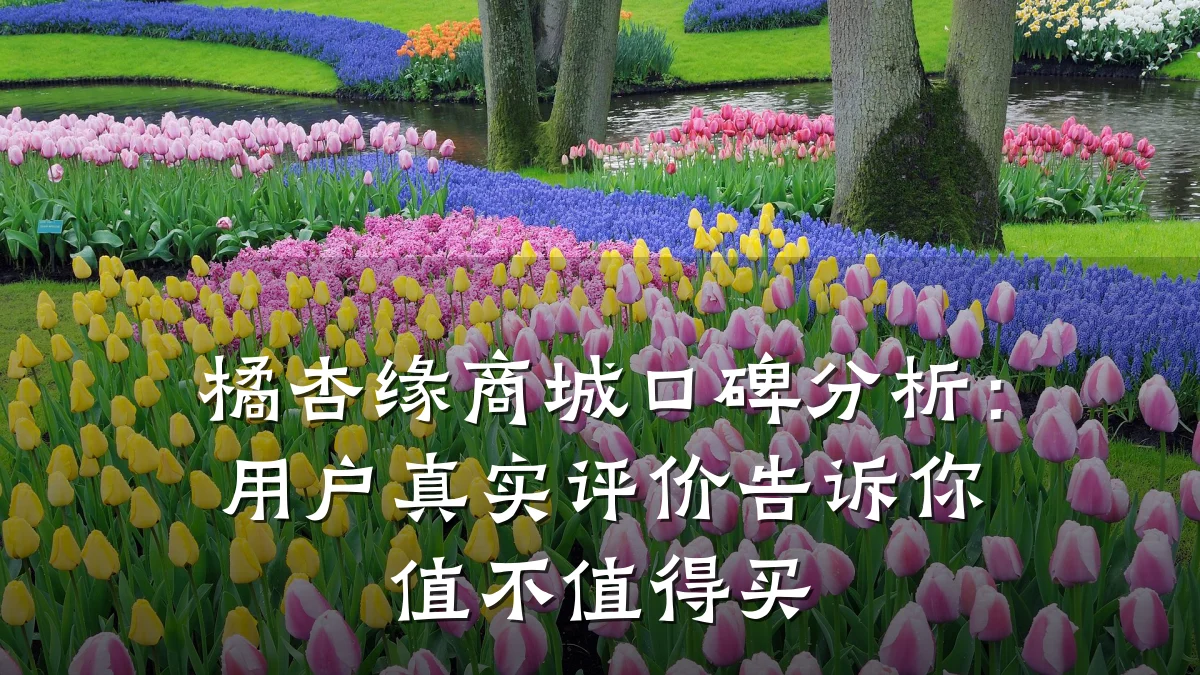 橘杏缘商城口碑分析：用户真实评价告诉你值不值得买