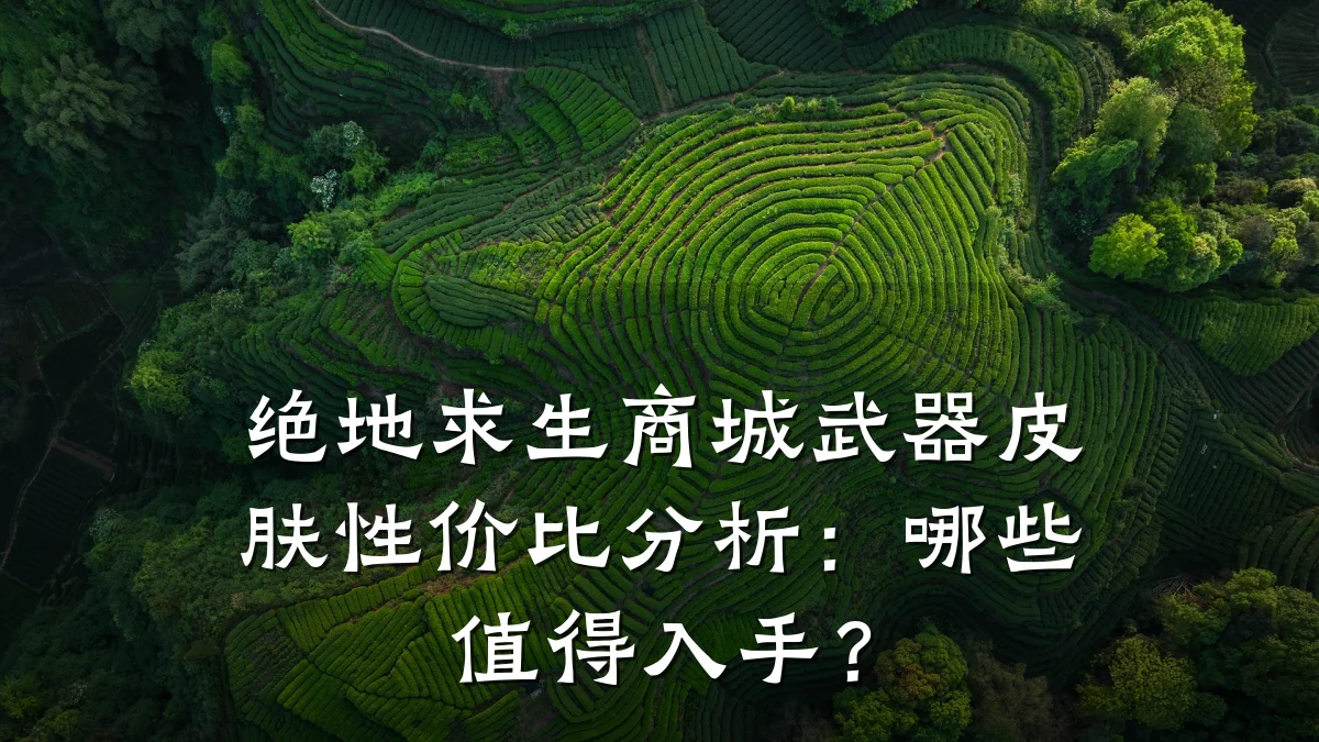 绝地求生商城武器皮肤性价比分析：哪些值得入手？