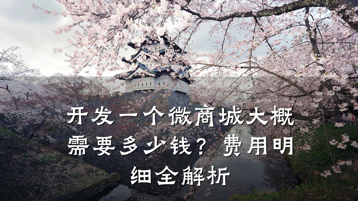 开发一个微商城大概需要多少钱？费用明细全解析