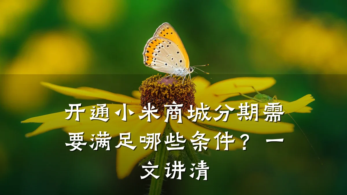 开通小米商城分期需要满足哪些条件?一文讲清