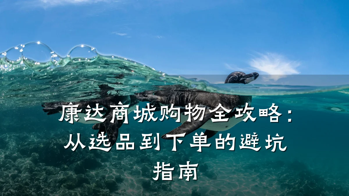 康达商城购物全攻略:从选品到下单的避坑指南