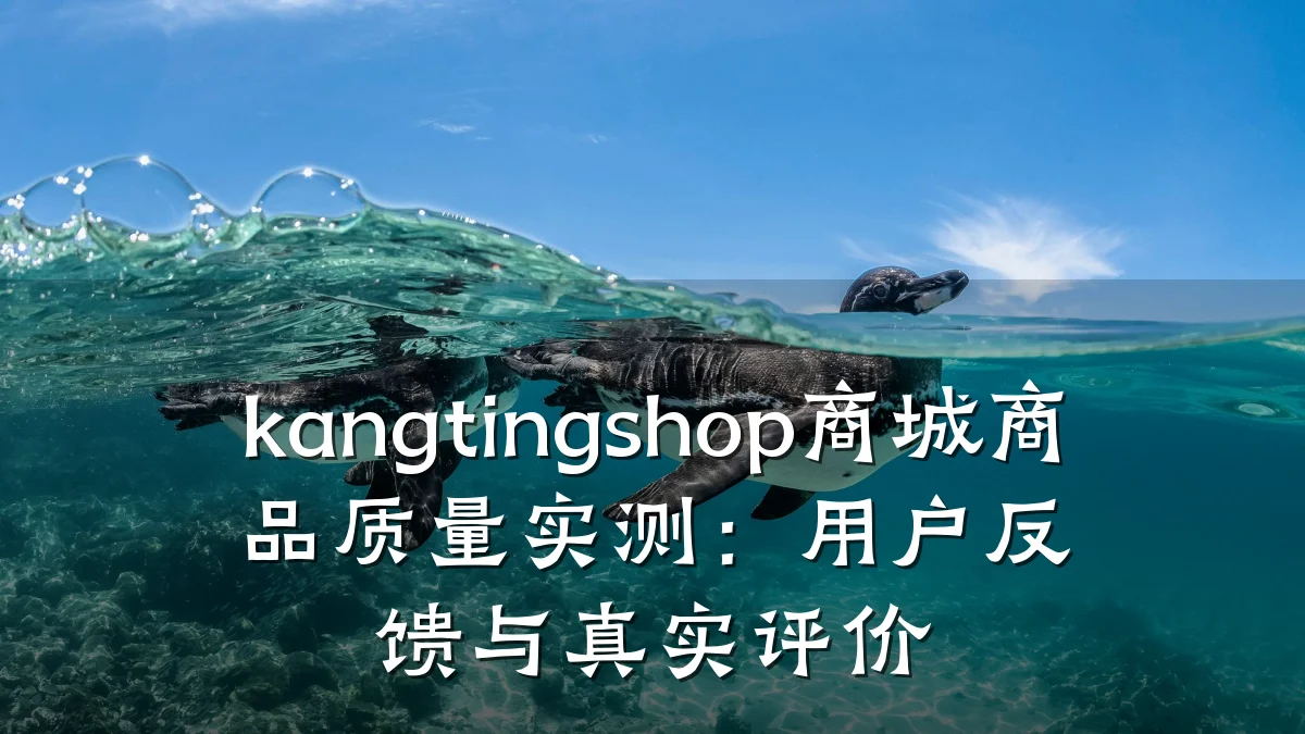 kangtingshop商城商品质量实测:用户反馈与真实评价