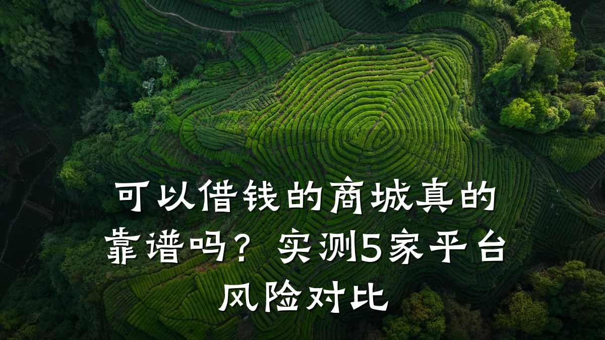 可以借钱的商城真的靠谱吗？实测5家平台风险对比