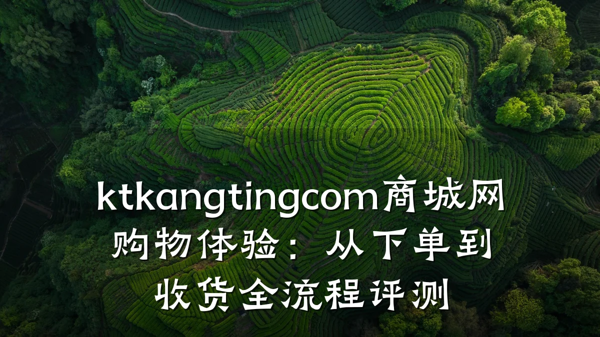 ktkangtingcom商城网购物体验：从下单到收货全流程评测
