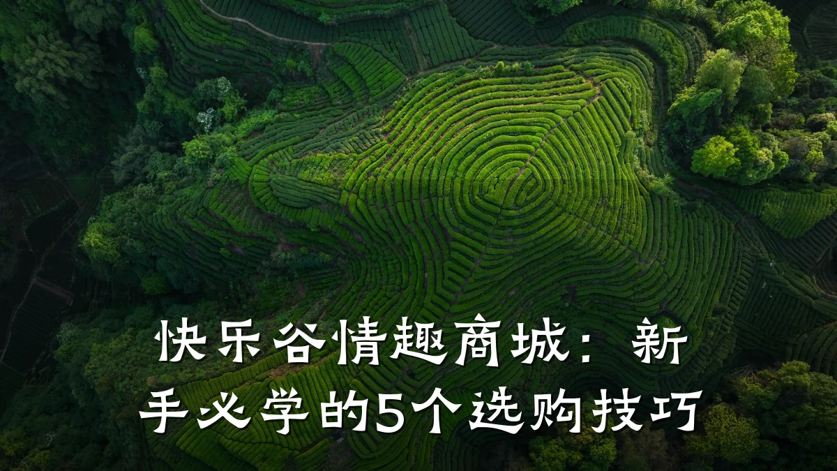 快乐谷情趣商城:新手必学的5个选购技巧