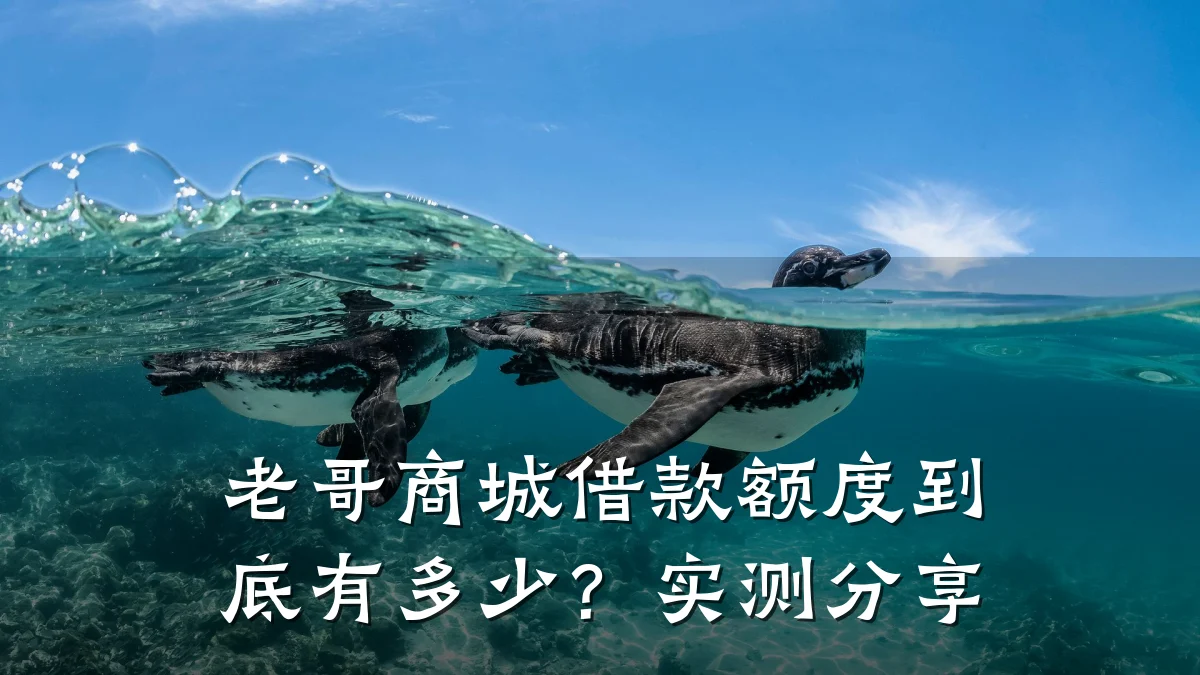老哥商城借款额度到底有多少？实测分享