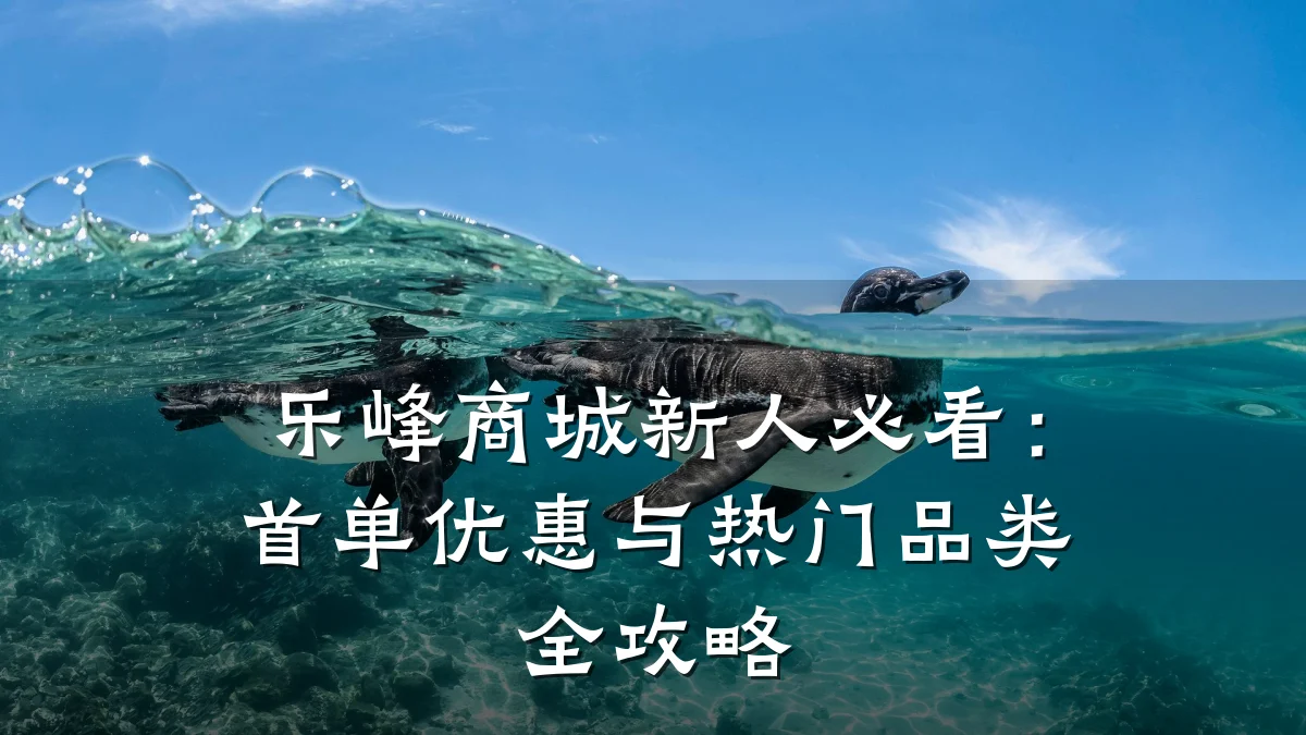 乐峰商城新人必看：首单优惠与热门品类全攻略
