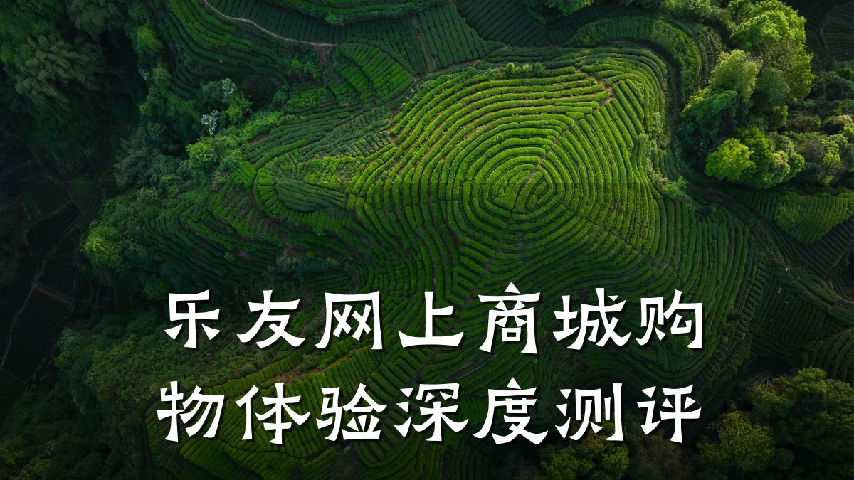 乐友网上商城购物体验深度测评