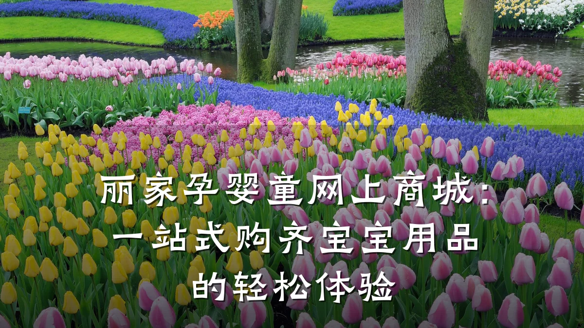 丽家孕婴童网上商城:一站式购齐宝宝用品的轻松体验