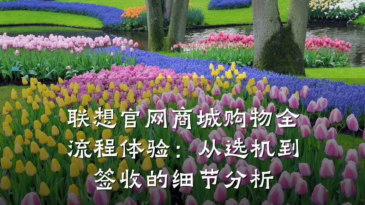 联想官网商城购物全流程体验:从选机到签收的细节分析