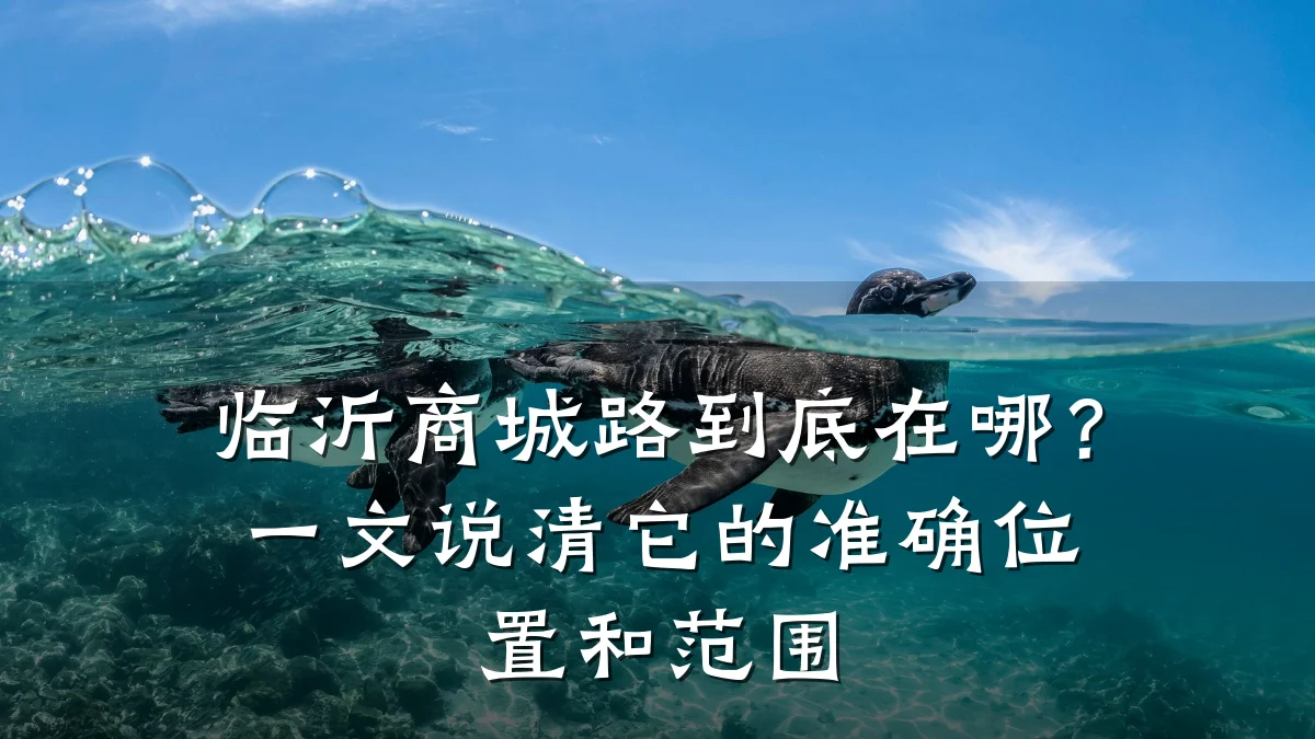 临沂商城路到底在哪?一文说清它的准确位置和范围