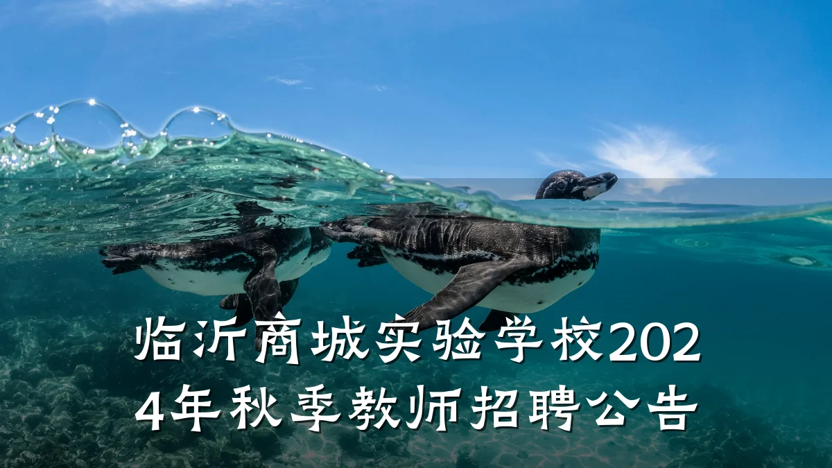 临沂商城实验学校2024年秋季教师招聘公告