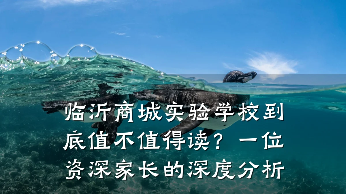 临沂商城实验学校到底值不值得读?一位资深家长的深度分析
