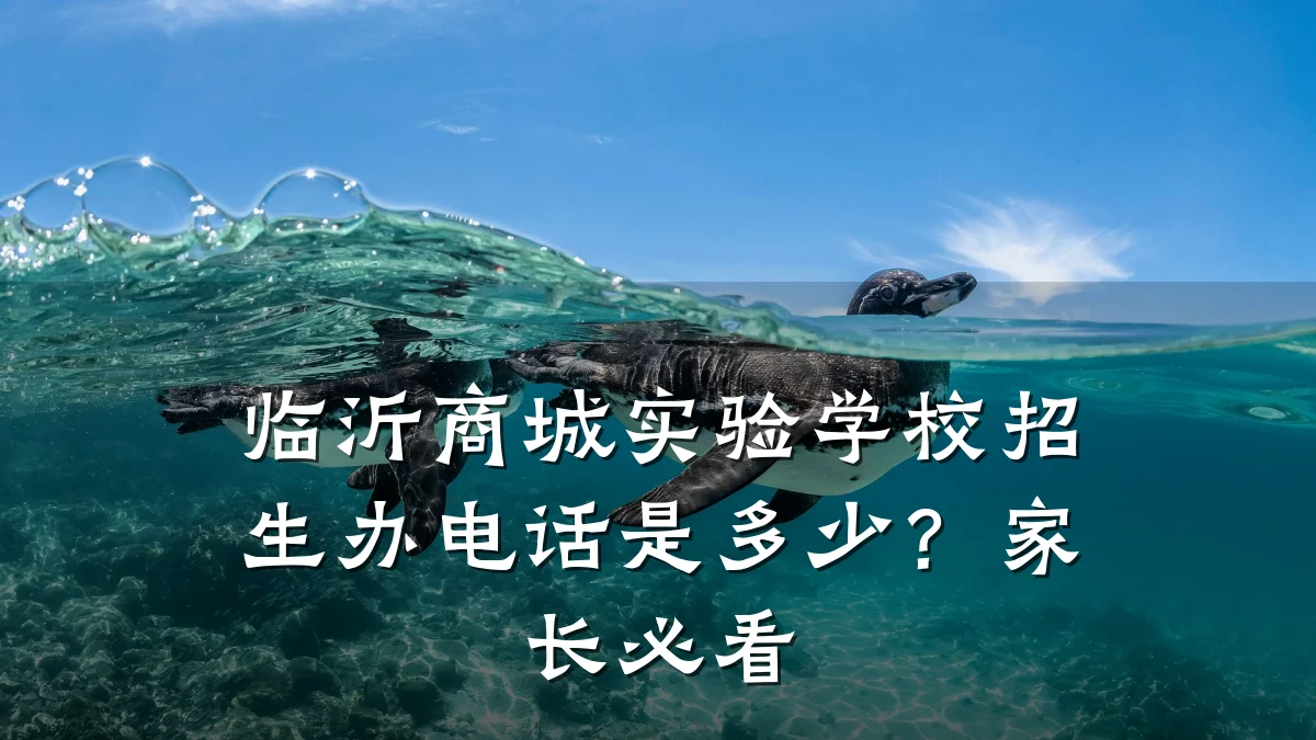临沂商城实验学校招生办电话是多少?家长必看