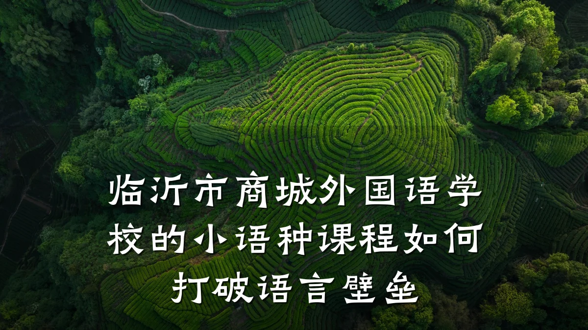 临沂市商城外国语学校的小语种课程如何打破语言壁垒
