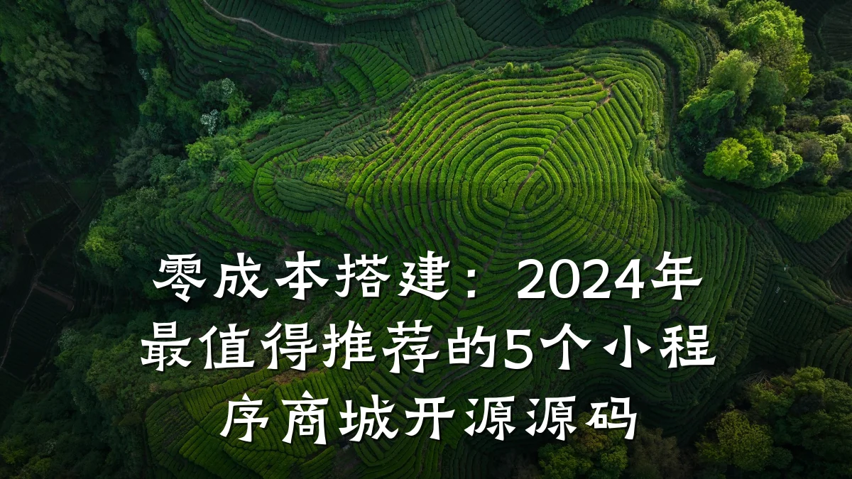 零成本搭建:2024年最值得推荐的5个小程序商城开源源码