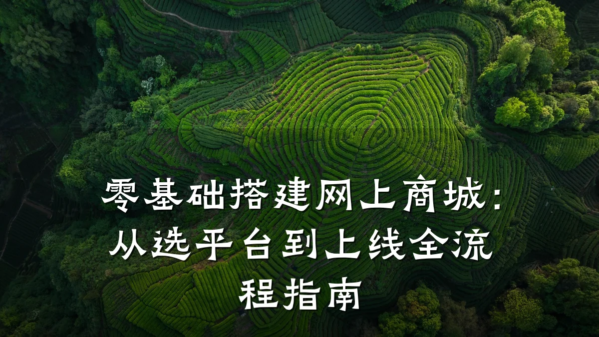 零基础搭建网上商城：从选平台到上线全流程指南