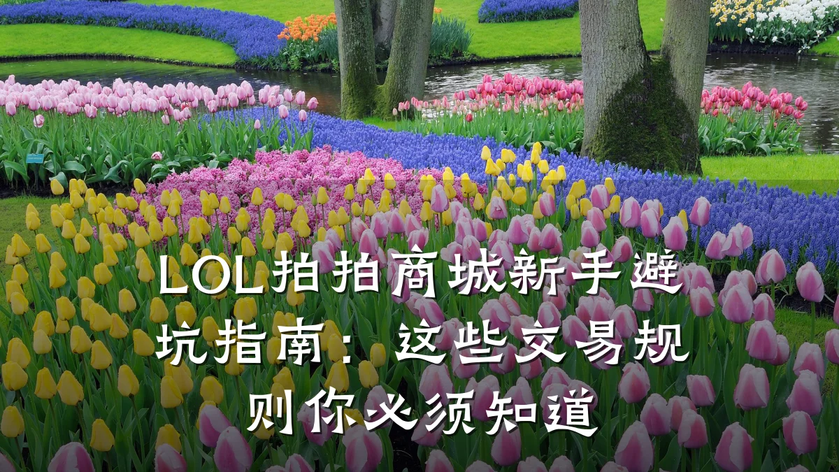 LOL拍拍商城新手避坑指南:这些交易规则你必须知道