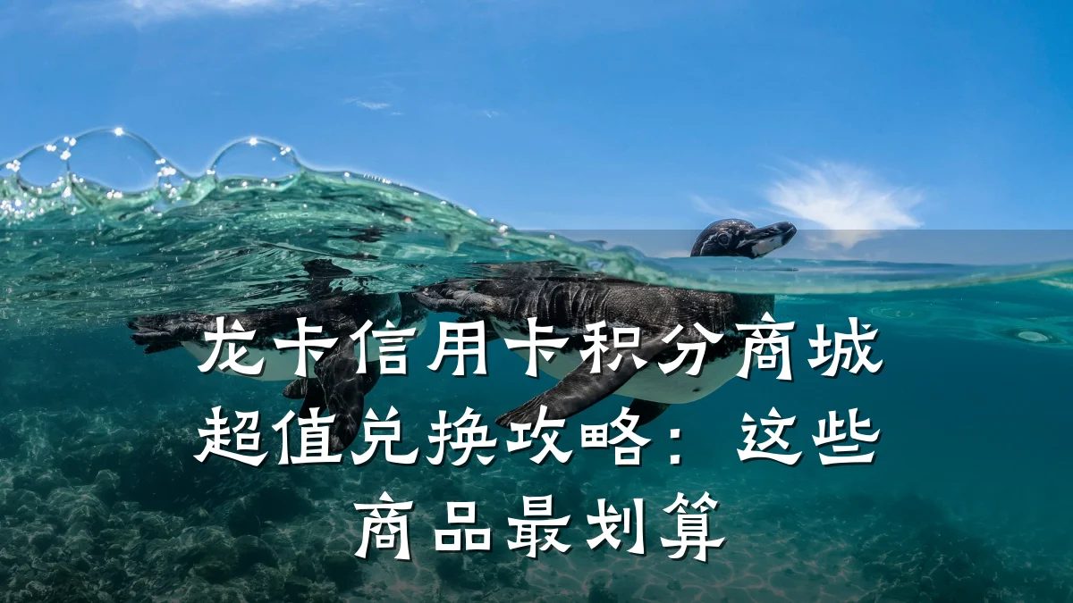龙卡信用卡积分商城超值兑换攻略：这些商品最划算