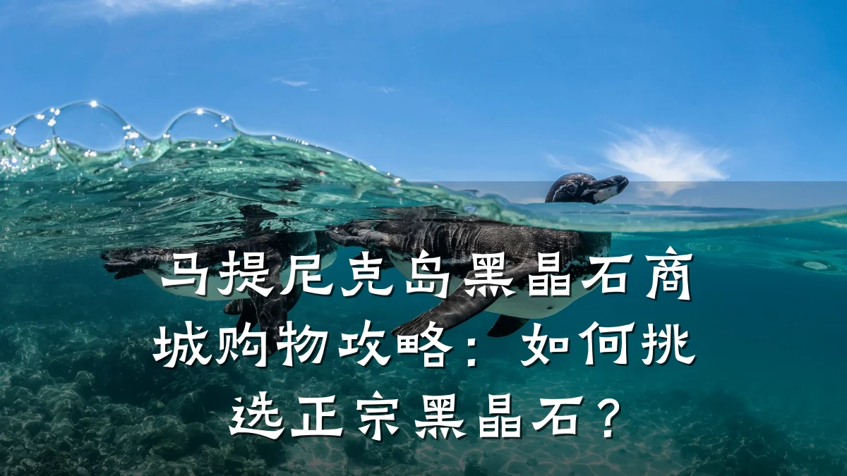 马提尼克岛黑晶石商城购物攻略：如何挑选正宗黑晶石？