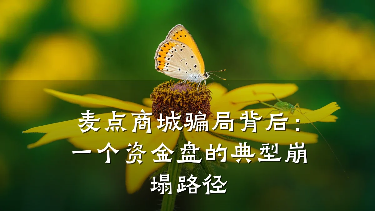 麦点商城骗局背后:一个资金盘的典型崩塌路径