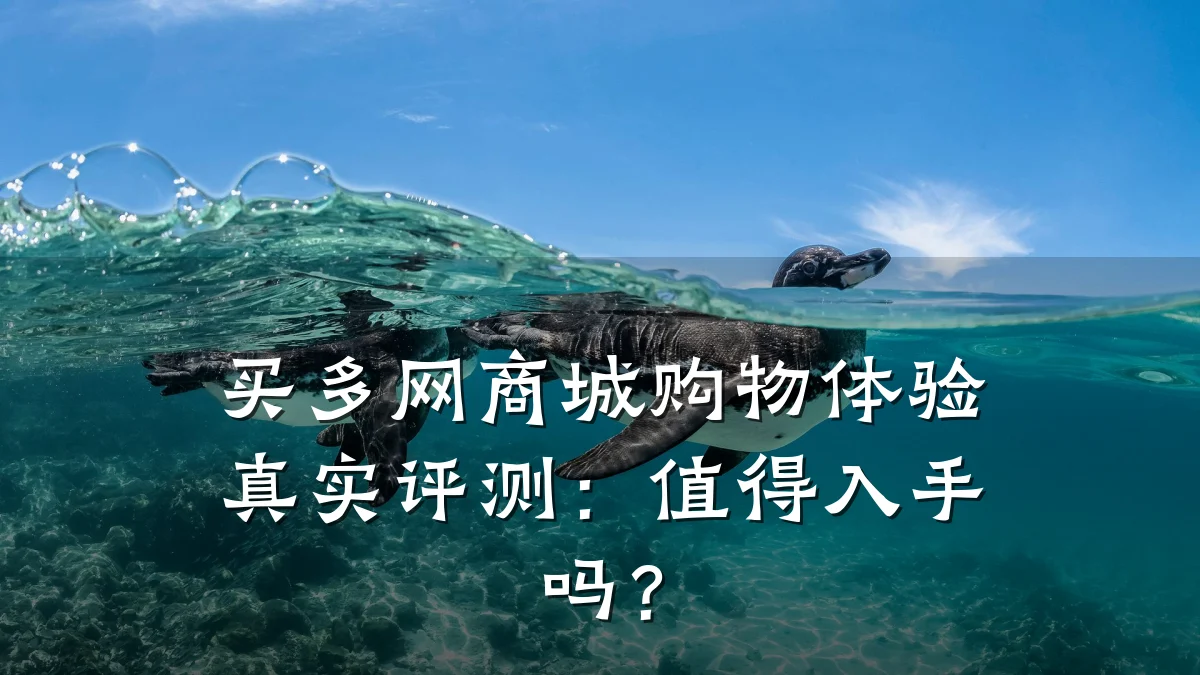 买多网商城购物体验真实评测：值得入手吗？