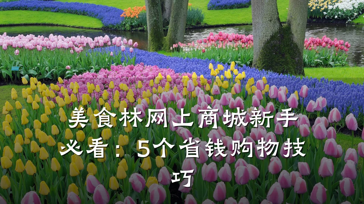 美食林网上商城新手必看：5个省钱购物技巧