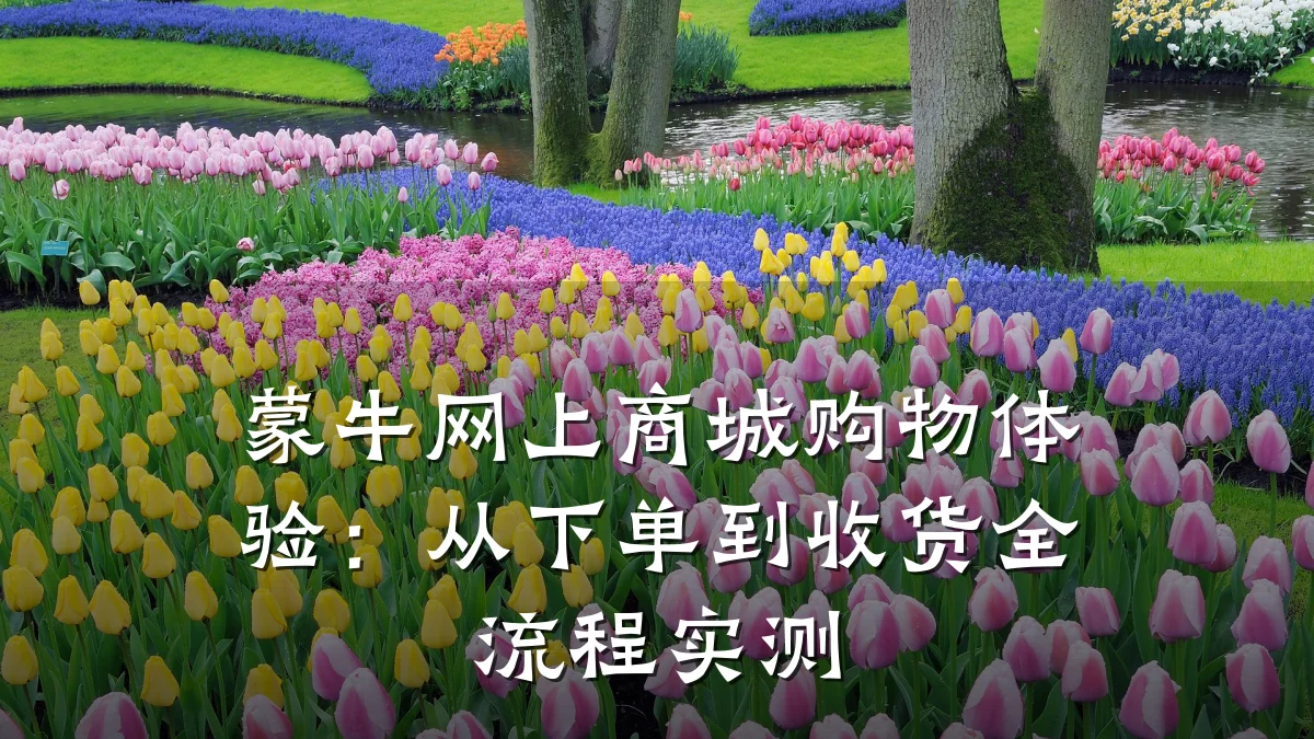 蒙牛网上商城购物体验：从下单到收货全流程实测