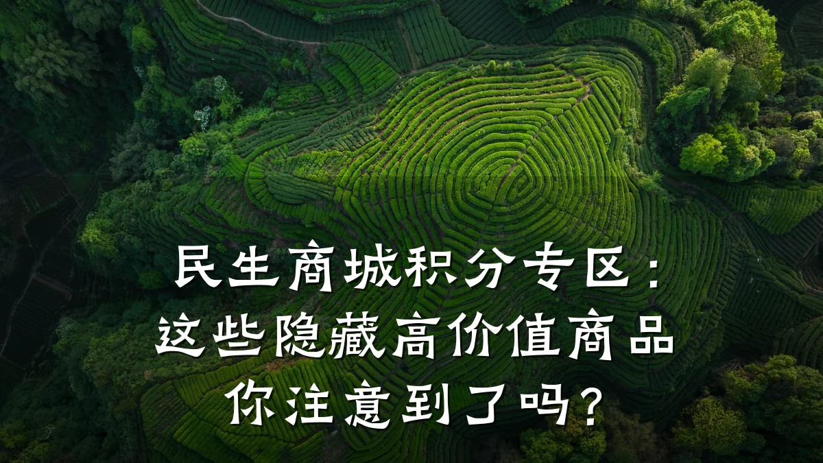 民生商城积分专区：这些隐藏高价值商品你注意到了吗？
