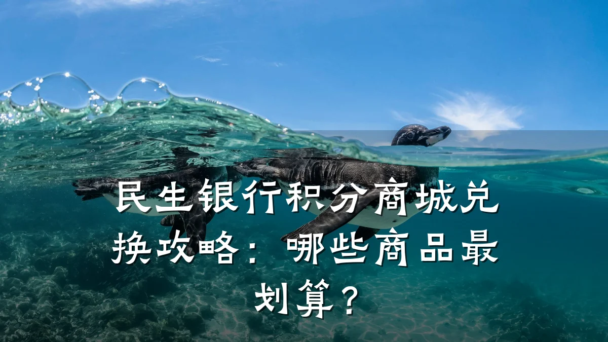 民生银行积分商城兑换攻略:哪些商品最划算?