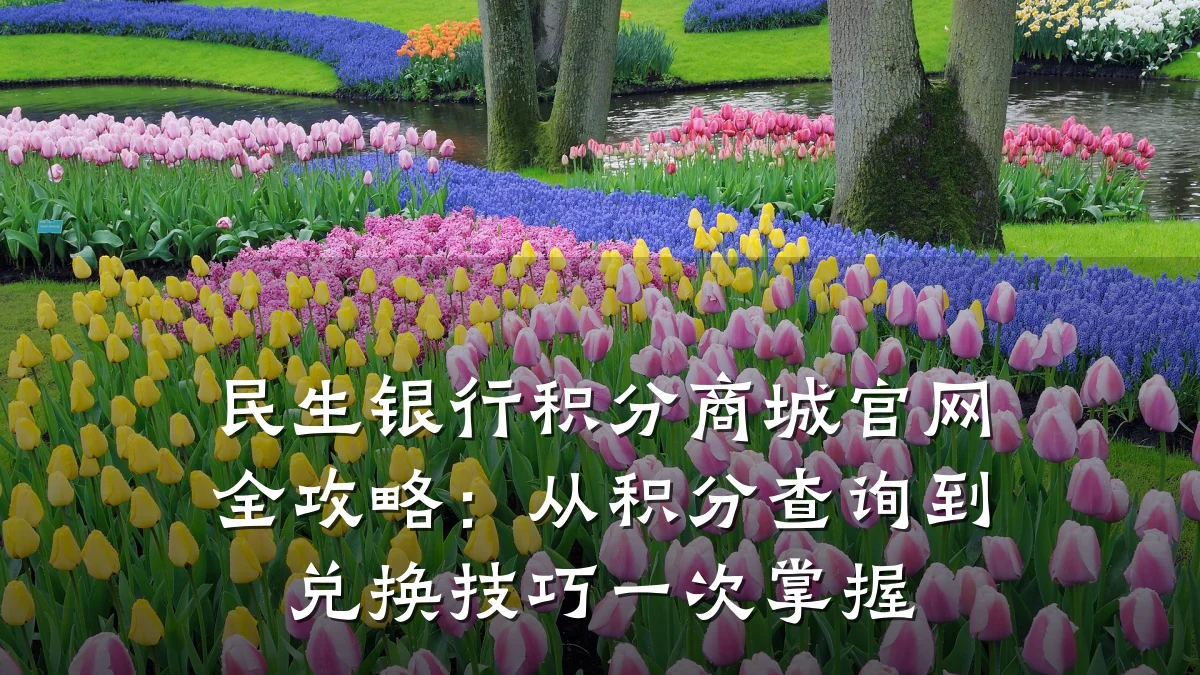 民生银行积分商城官网全攻略:从积分查询到兑换技巧一次掌握