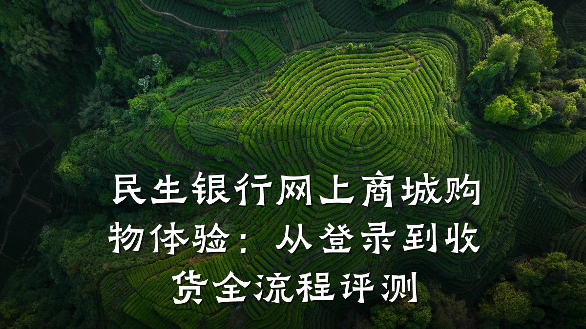 民生银行网上商城购物体验:从登录到收货全流程评测