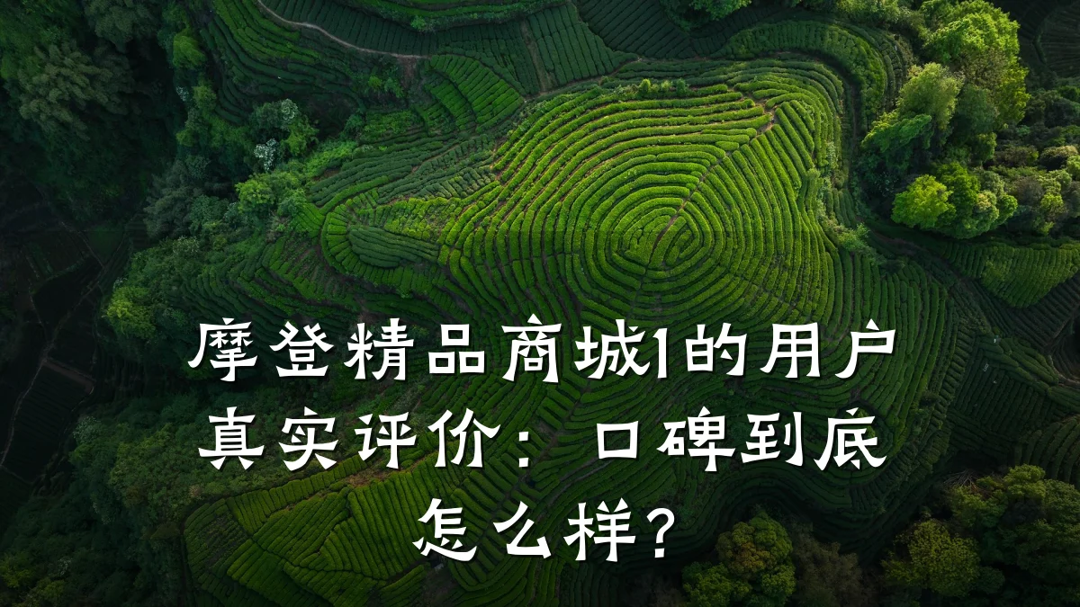 摩登精品商城1的用户真实评价:口碑到底怎么样?