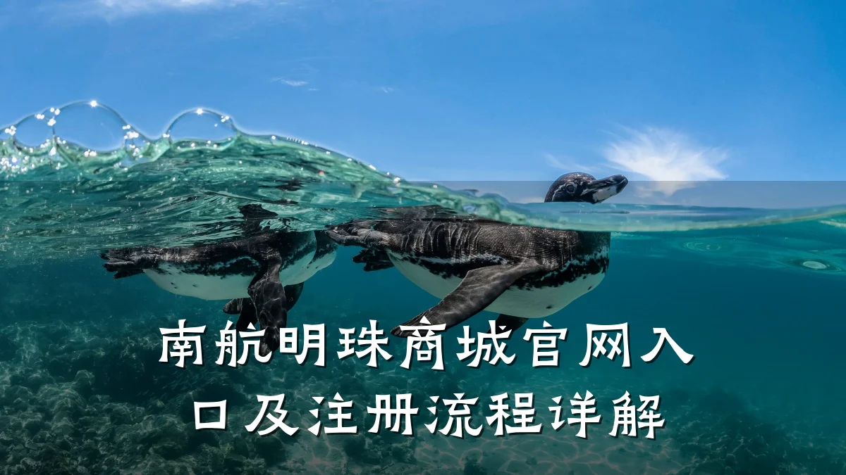 南航明珠商城官网入口及注册流程详解