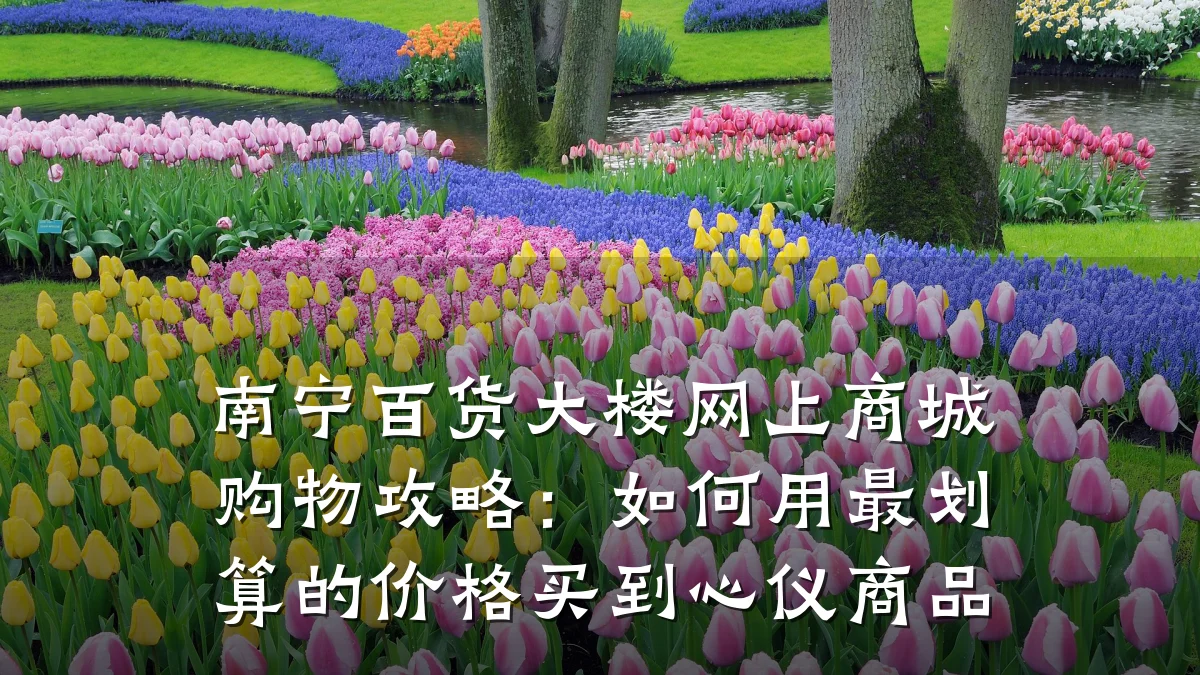 南宁百货大楼网上商城购物攻略:如何用最划算的价格买到心仪商品
