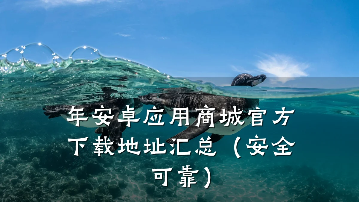 年安卓应用商城官方下载地址汇总(安全可靠)