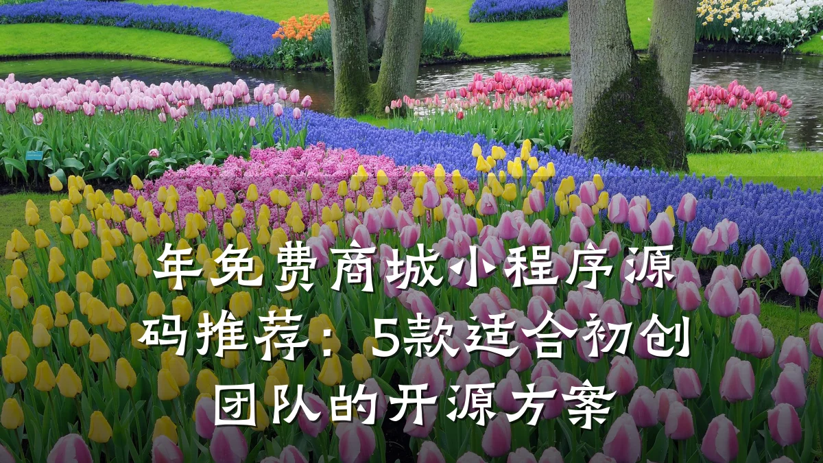 年免费商城小程序源码推荐：5款适合初创团队的开源方案