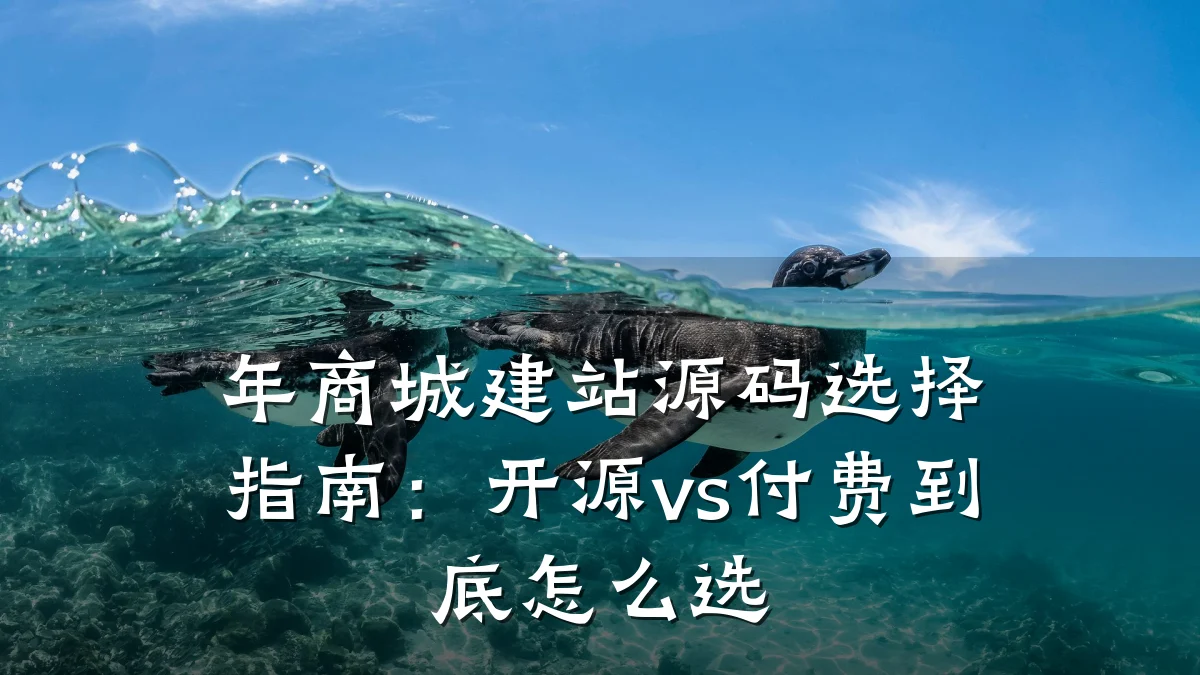 年商城建站源码选择指南：开源vs付费到底怎么选