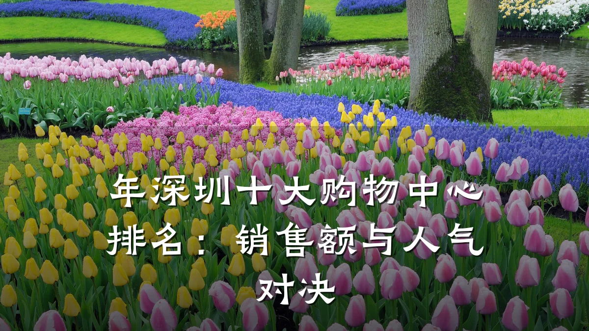 年深圳十大购物中心排名:销售额与人气对决
